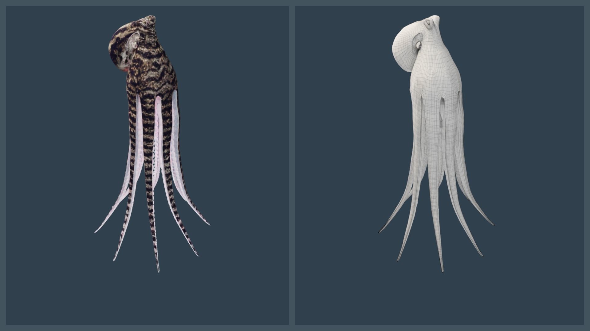 Animated Mimic Octopus Low-poly 3D model_21