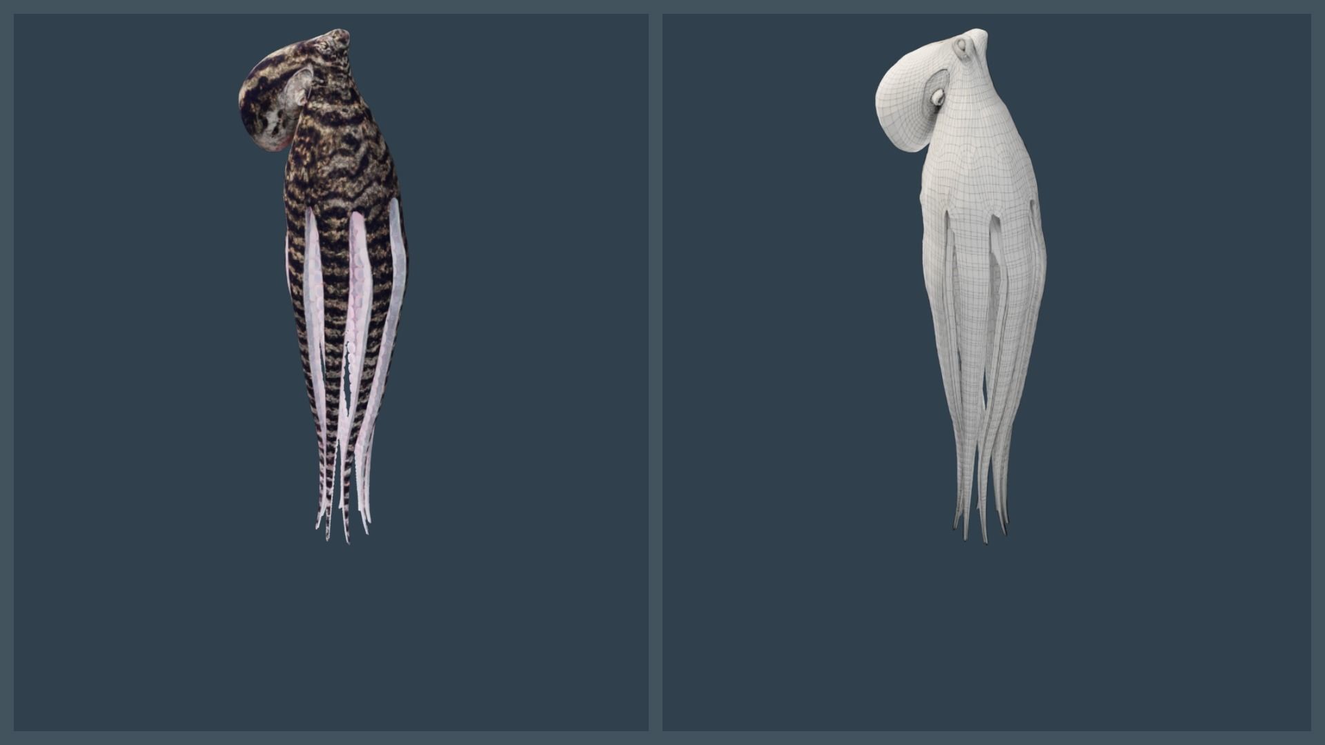 Animated Mimic Octopus Low-poly 3D model_9