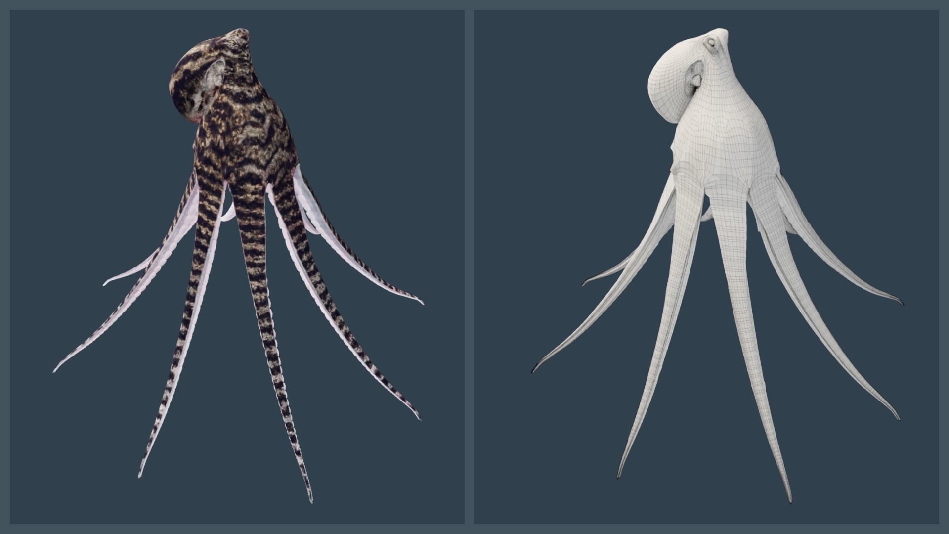 Animated Mimic Octopus Low-poly 3D model_2