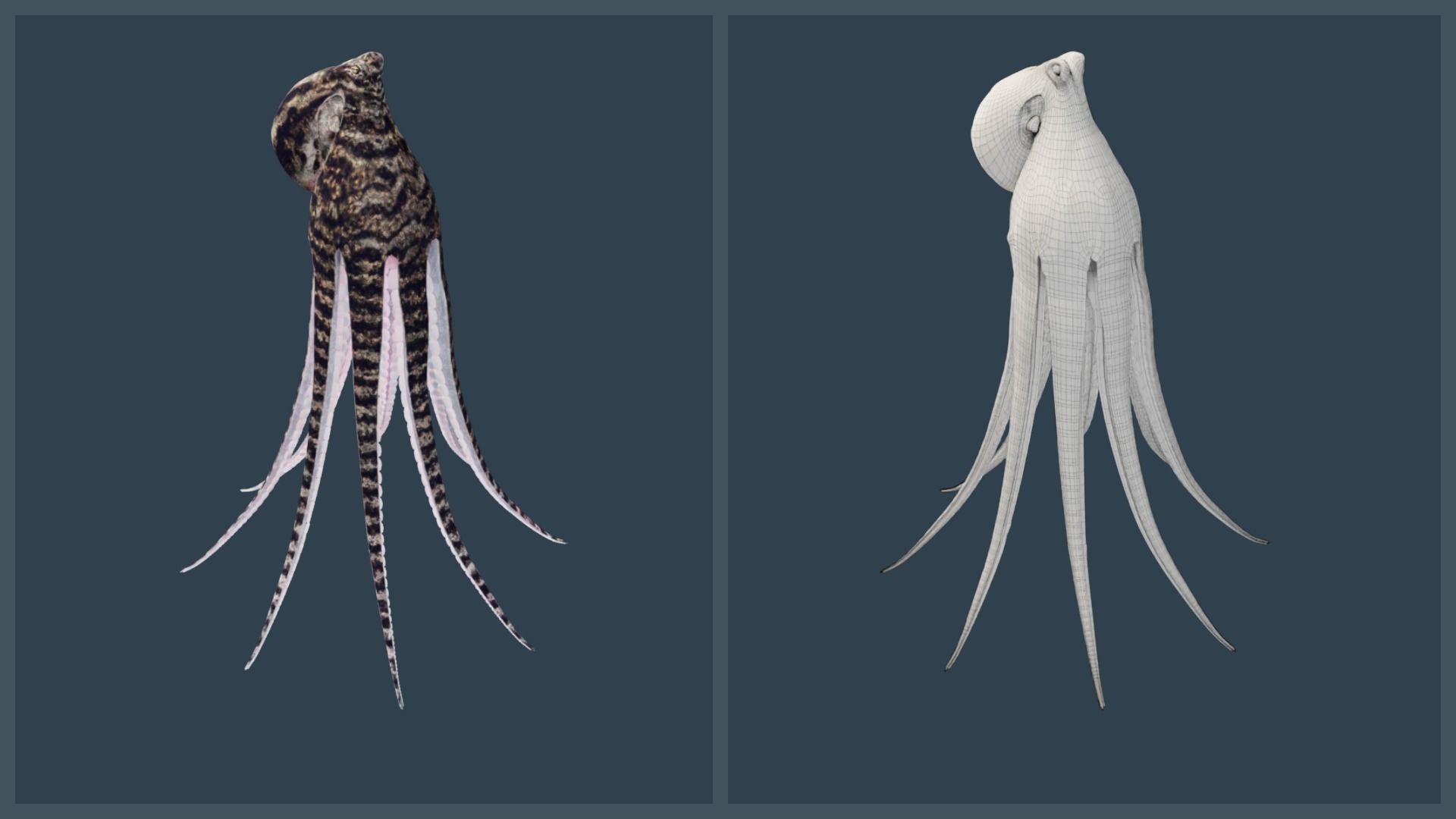 Animated Mimic Octopus Low-poly 3D model_20