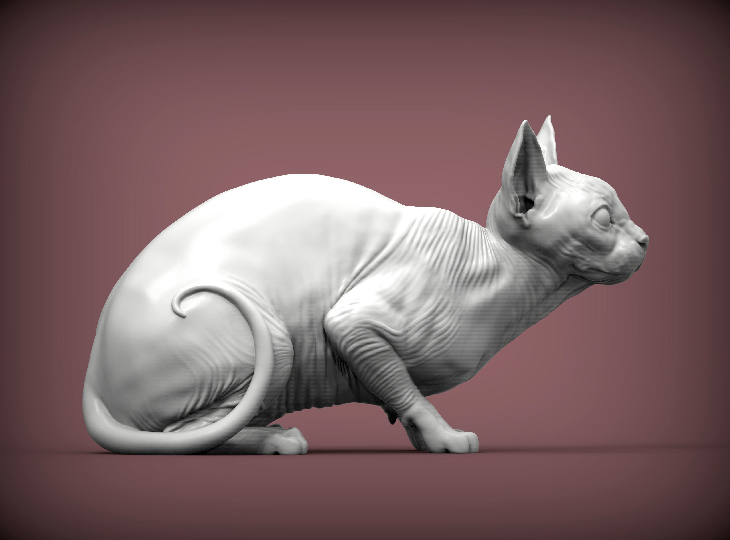 sphinx cat  3D print model_2