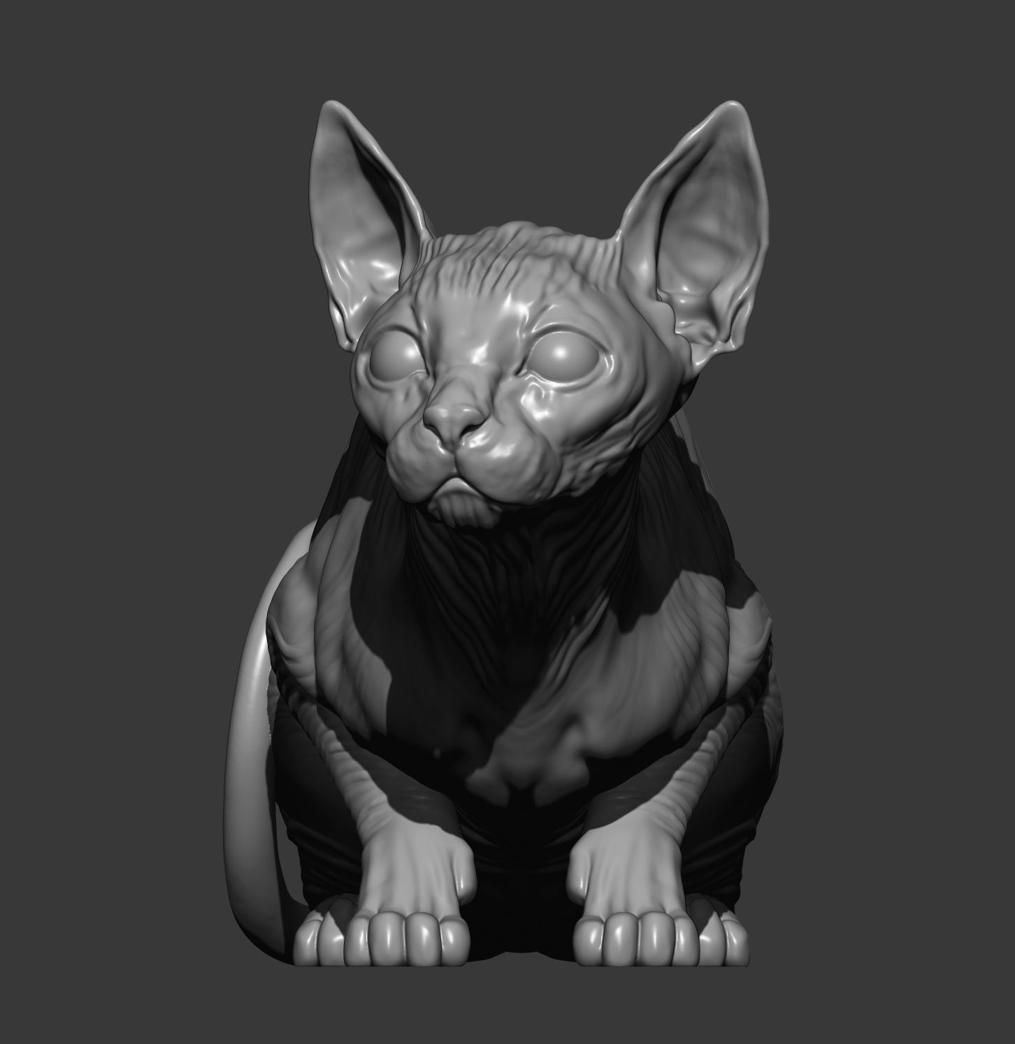 sphinx cat  3D print model_11