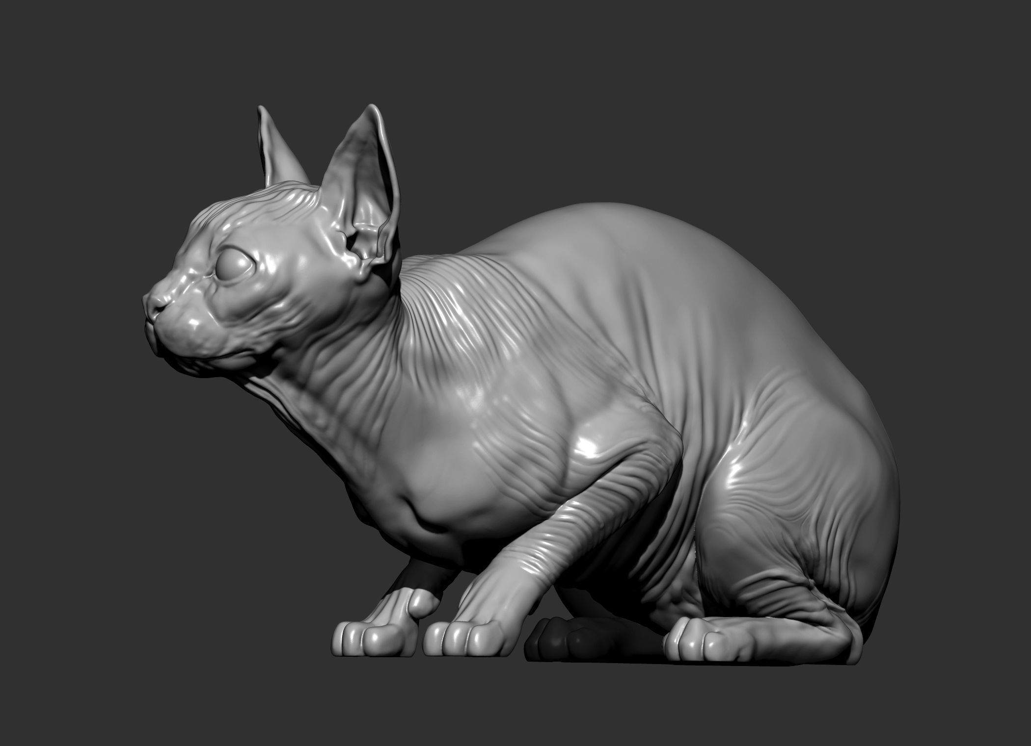 sphinx cat  3D print model_9