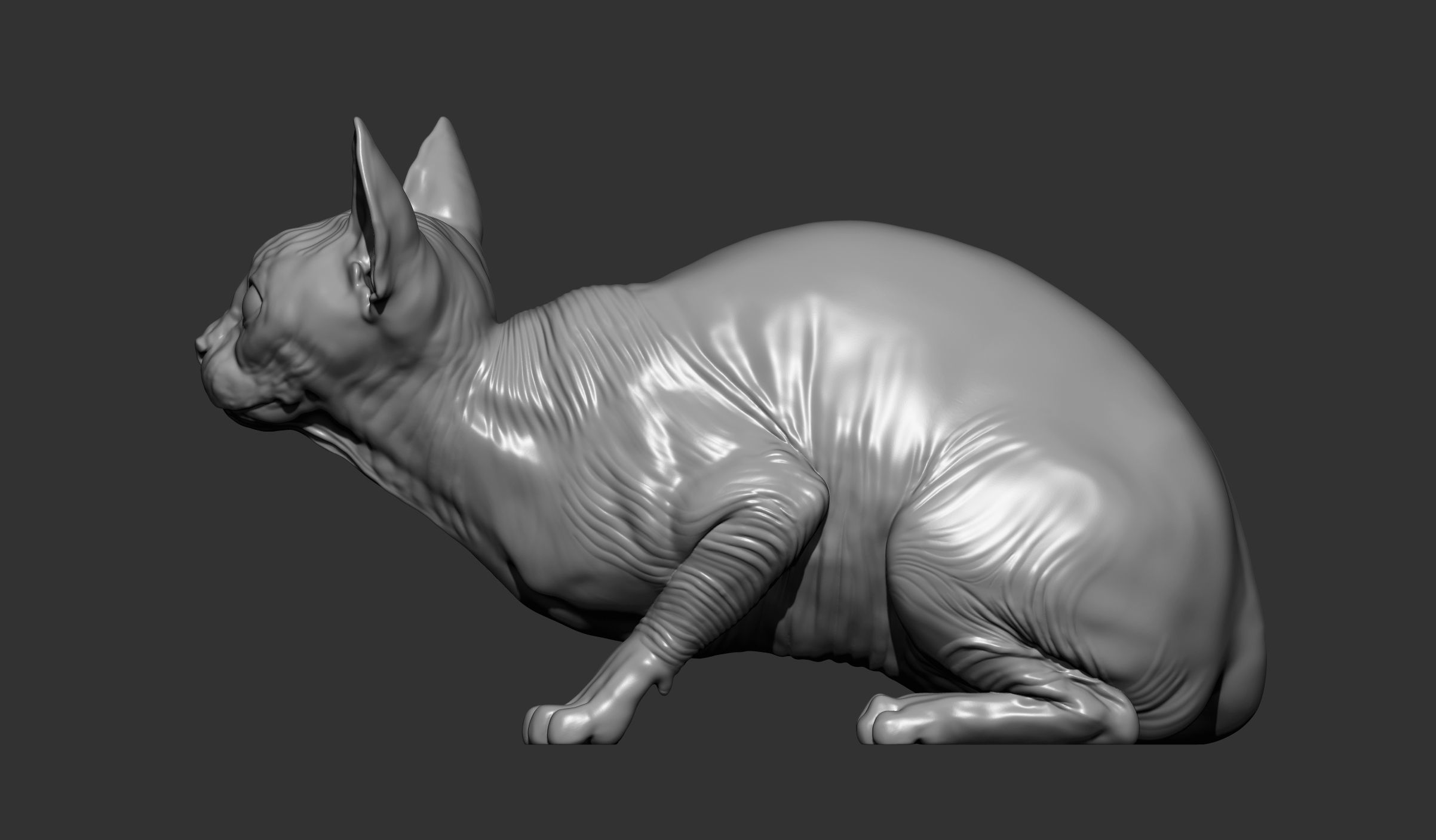 sphinx cat  3D print model_10