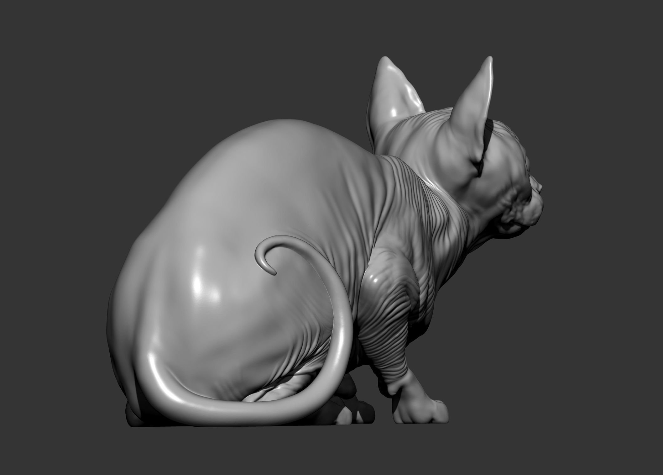 sphinx cat  3D print model_14