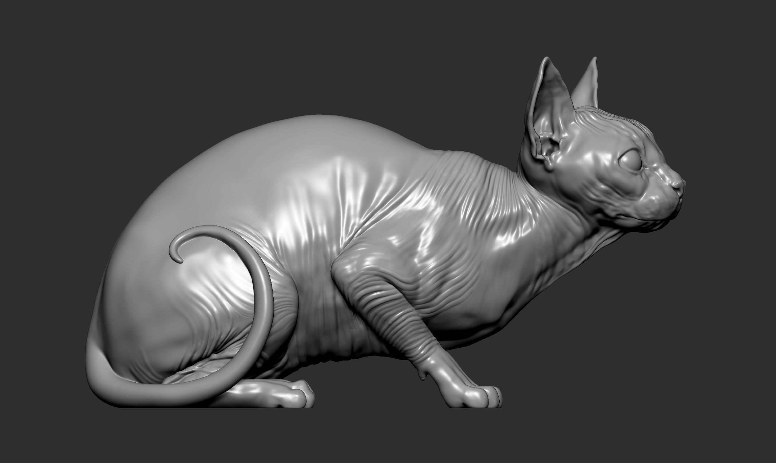 sphinx cat  3D print model_15