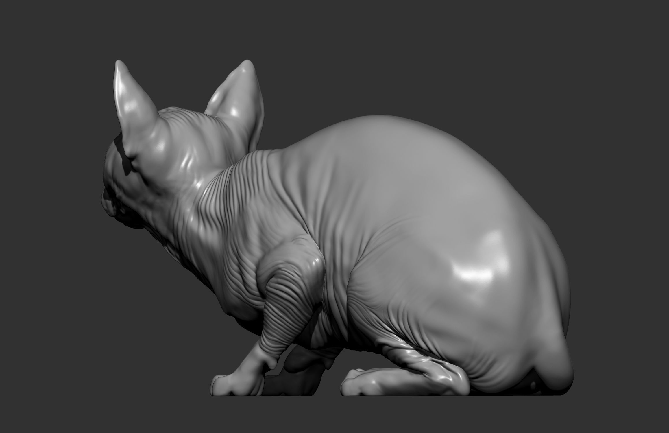 sphinx cat  3D print model_13