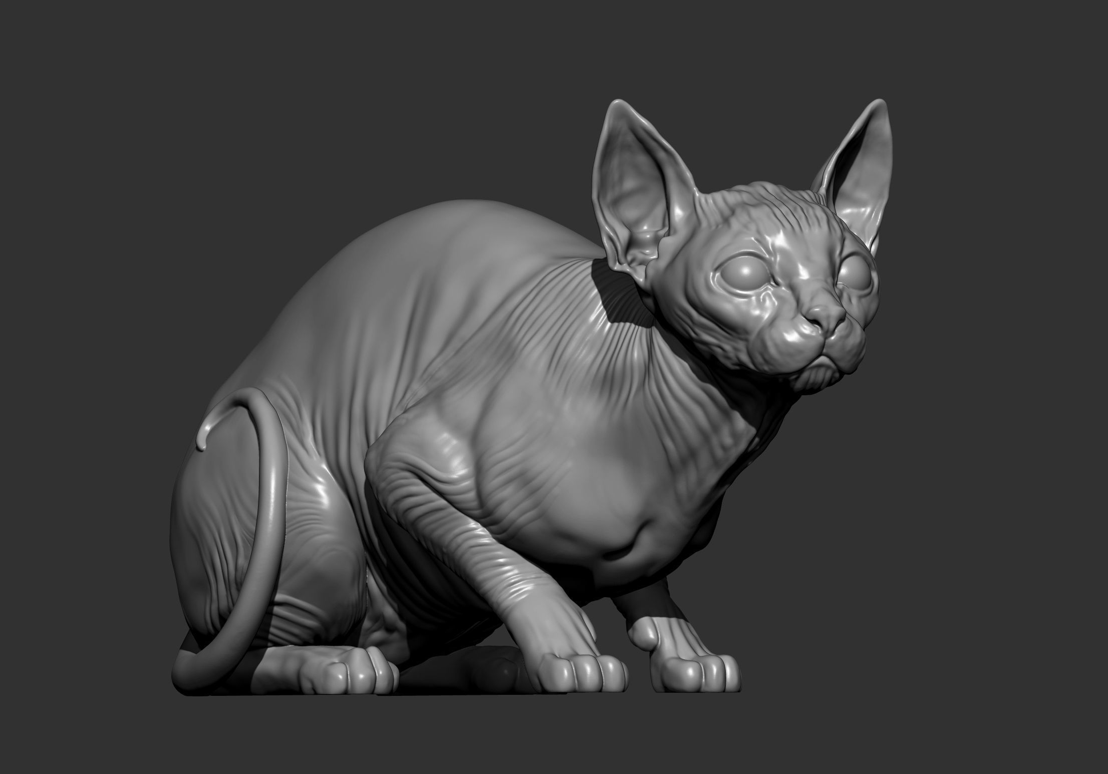 sphinx cat  3D print model_12