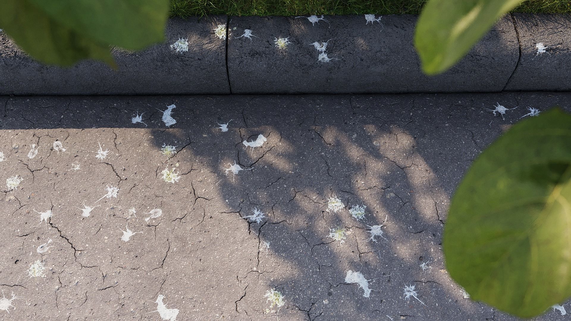 Bird Droppings Decal Textures Texture_2