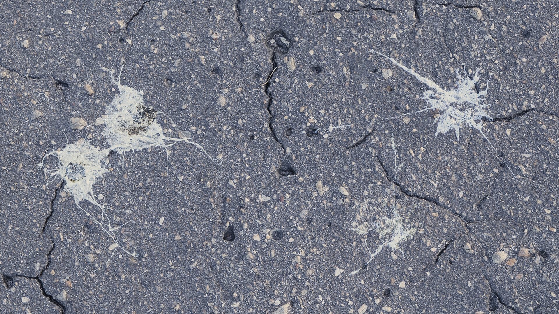 Bird Droppings Decal Textures Texture_7