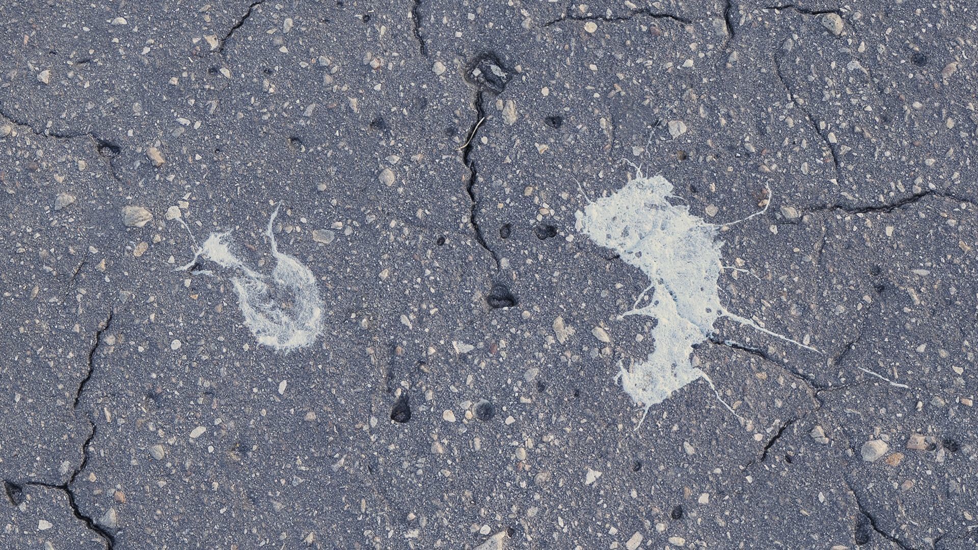 Bird Droppings Decal Textures Texture_6