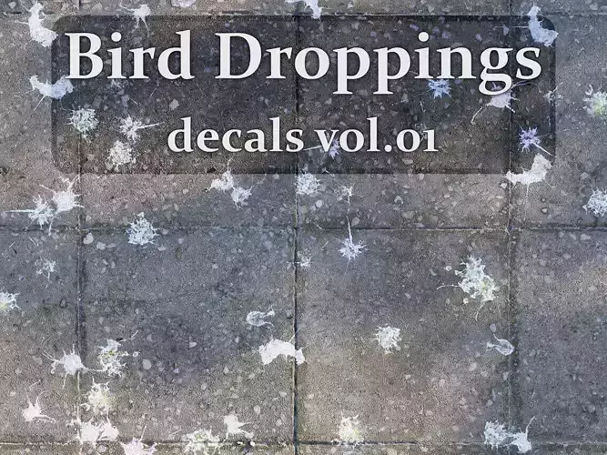 Bird Droppings Decal Textures