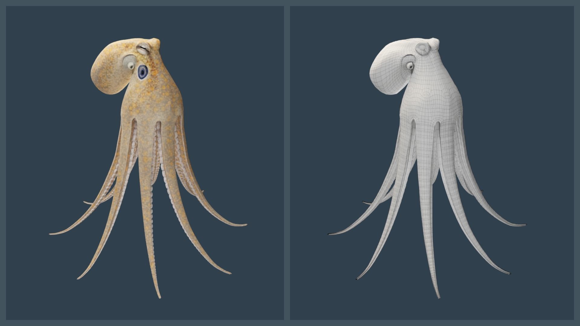 Animated California Two-Spot Octopus Low-poly 3D model_19