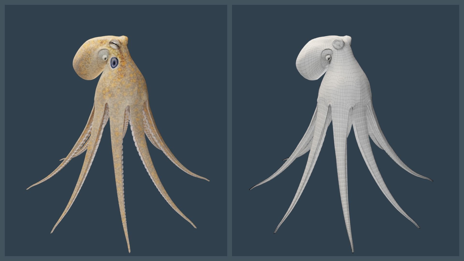 Animated California Two-Spot Octopus Low-poly 3D model_18