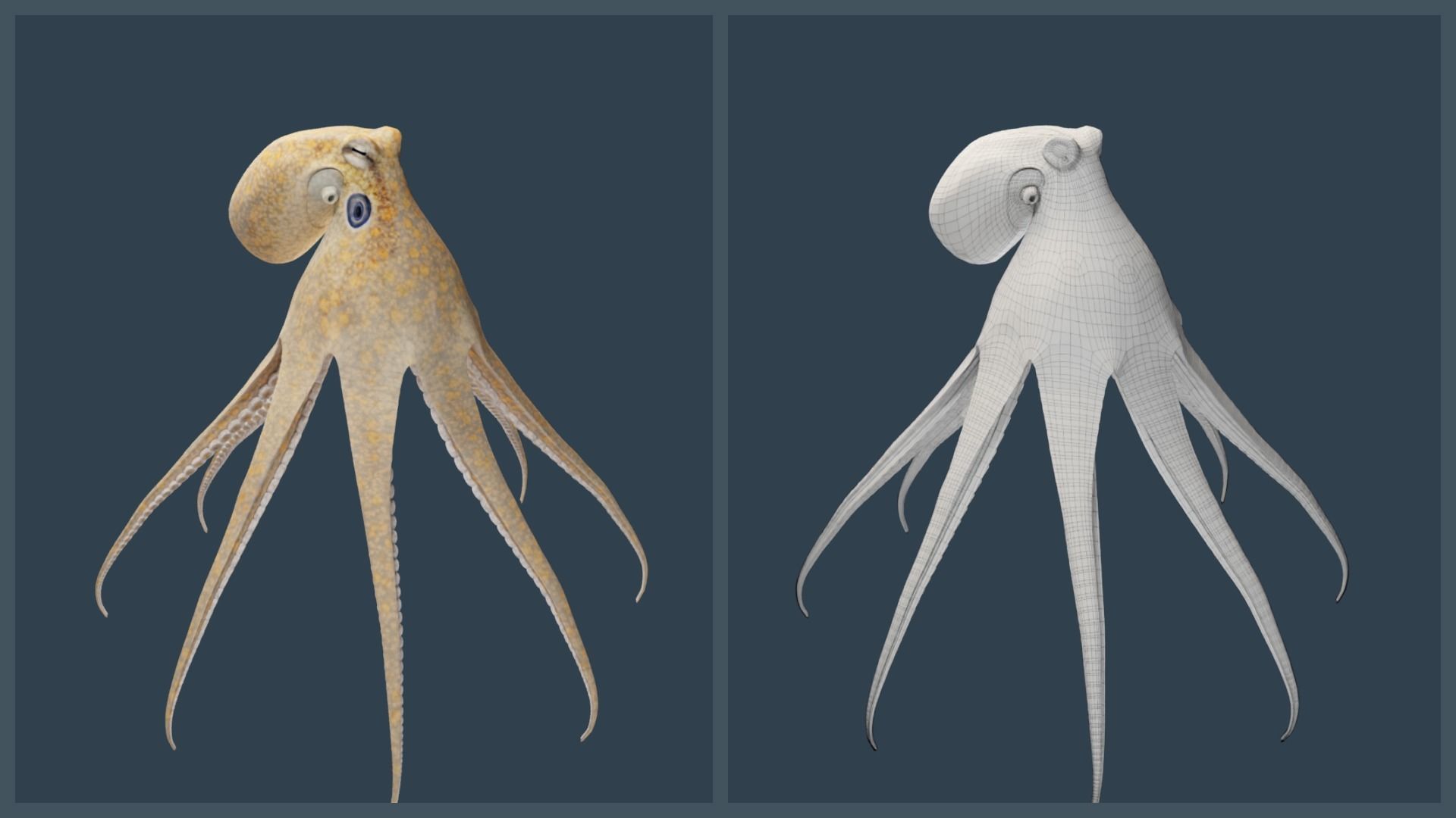 Animated California Two-Spot Octopus Low-poly 3D model_17