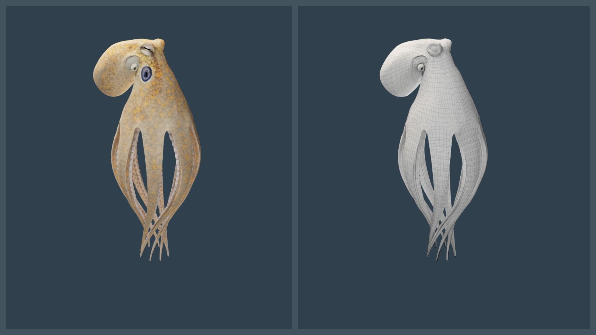 Animated California Two-Spot Octopus Low-poly 3D model_11