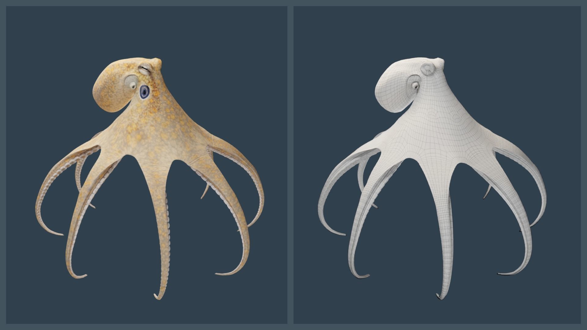 Animated California Two-Spot Octopus Low-poly 3D model_15