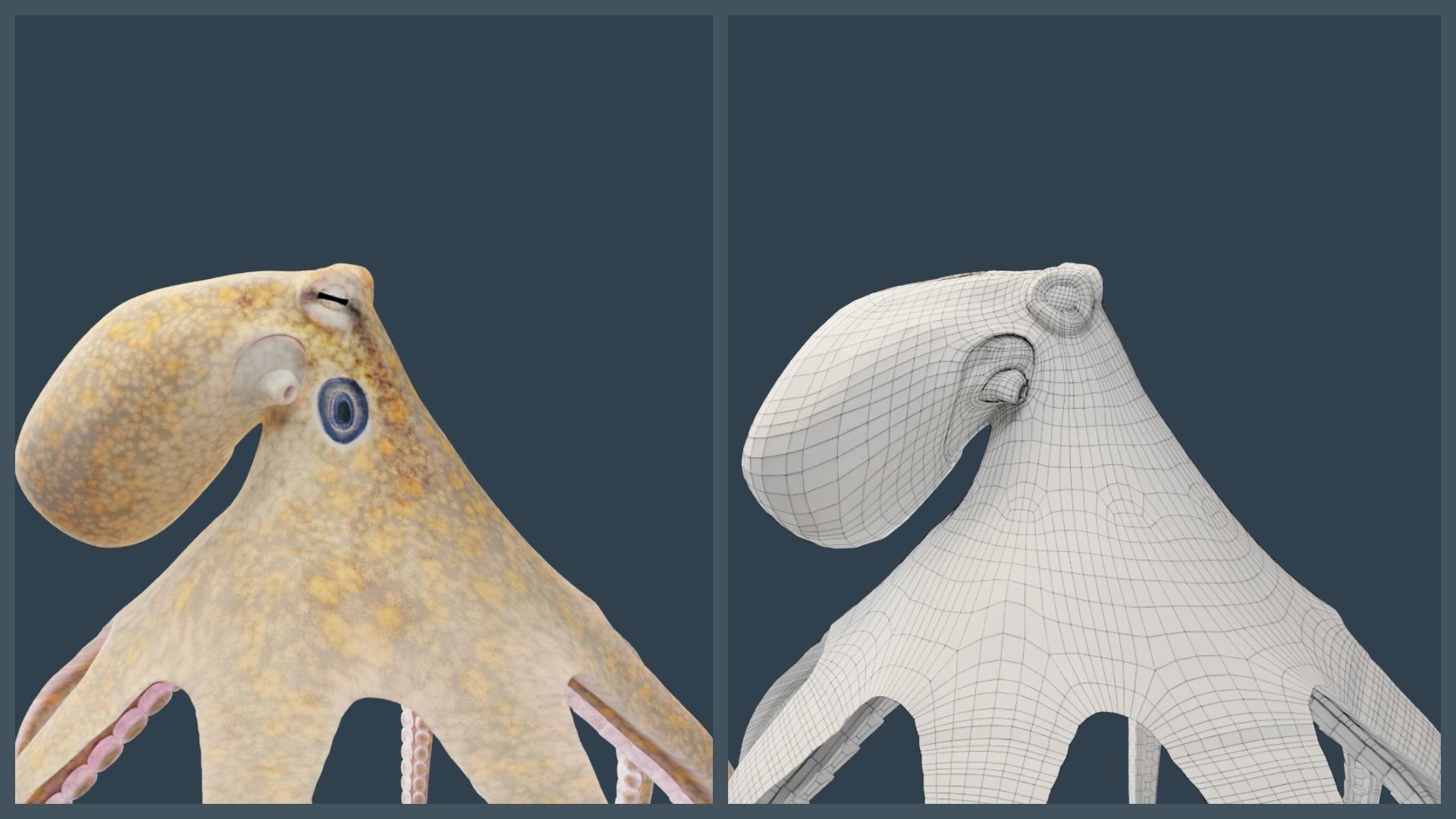 Animated California Two-Spot Octopus Low-poly 3D model_7