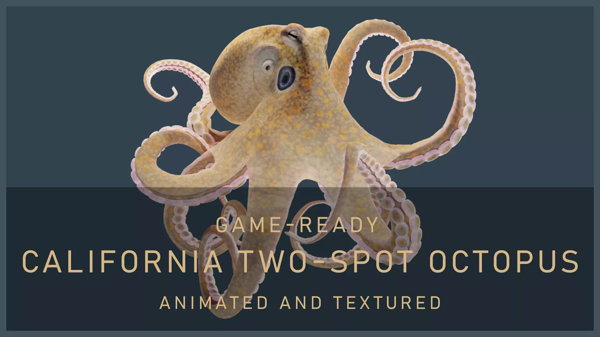 Animated California Two-Spot Octopus Low-poly 3D model_0