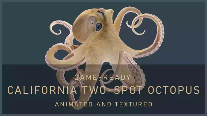 Animated California Two-Spot Octopus Low-poly 3D model
