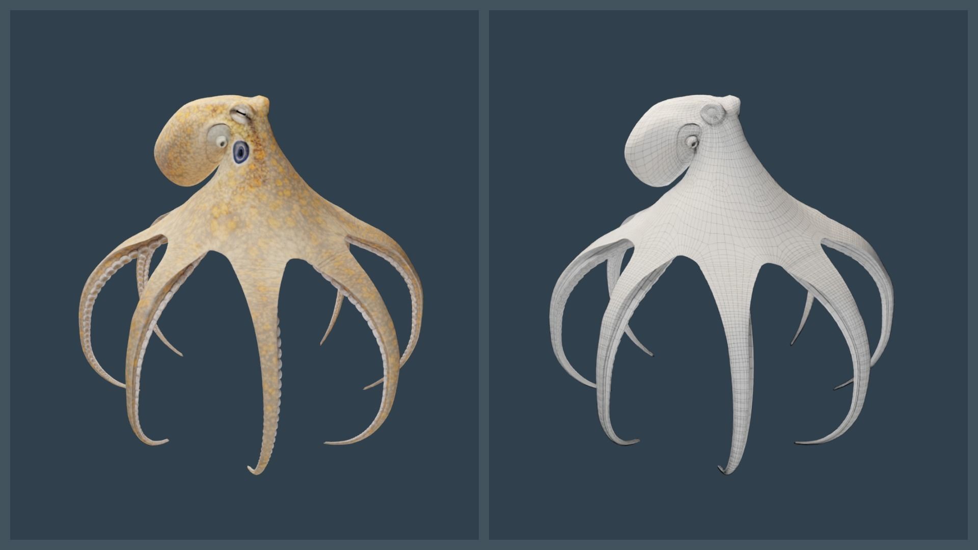 Animated California Two-Spot Octopus Low-poly 3D model_14