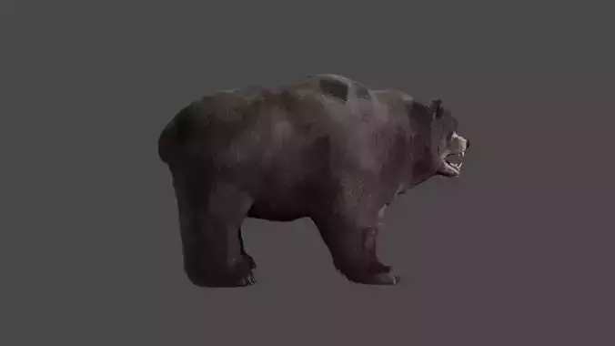 Bear For gaming  3d printing and others 3D model