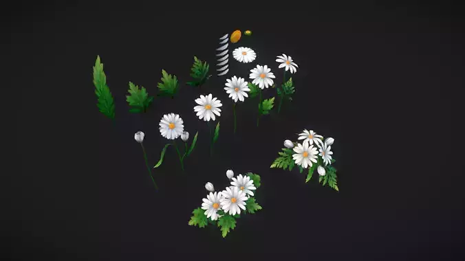 Handpainted Stylized Daisies