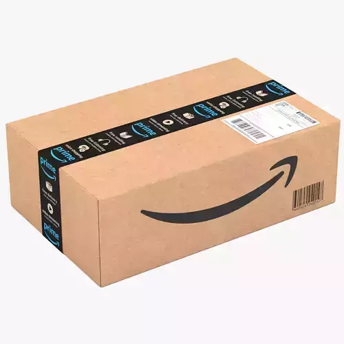 Cardboard Box Amazon 3D model