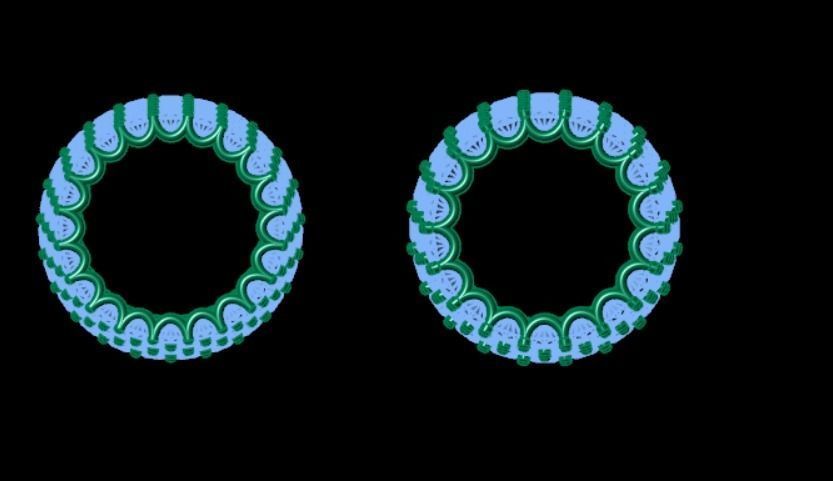 Ring kt31 3D print model_7