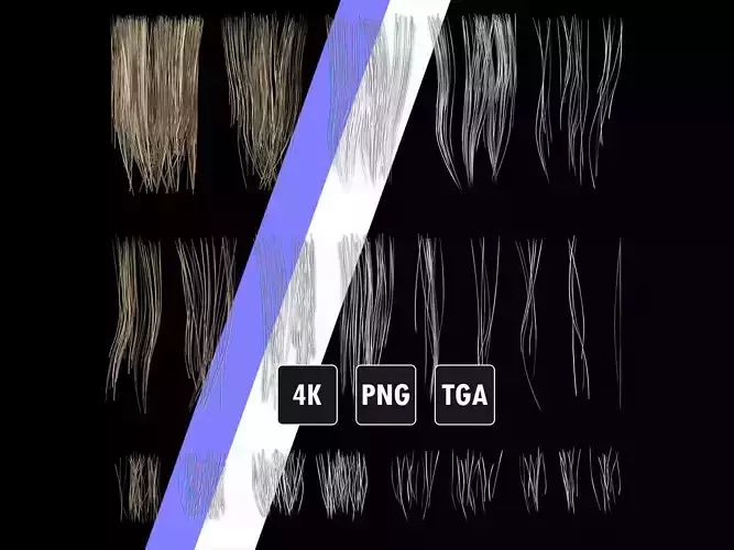 Hair Textures for Hair Cards  4K TGA PNG 3D model