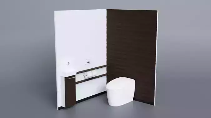 Japanese Toilet10