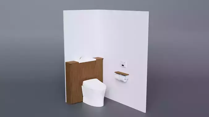 Japanese Toilet12