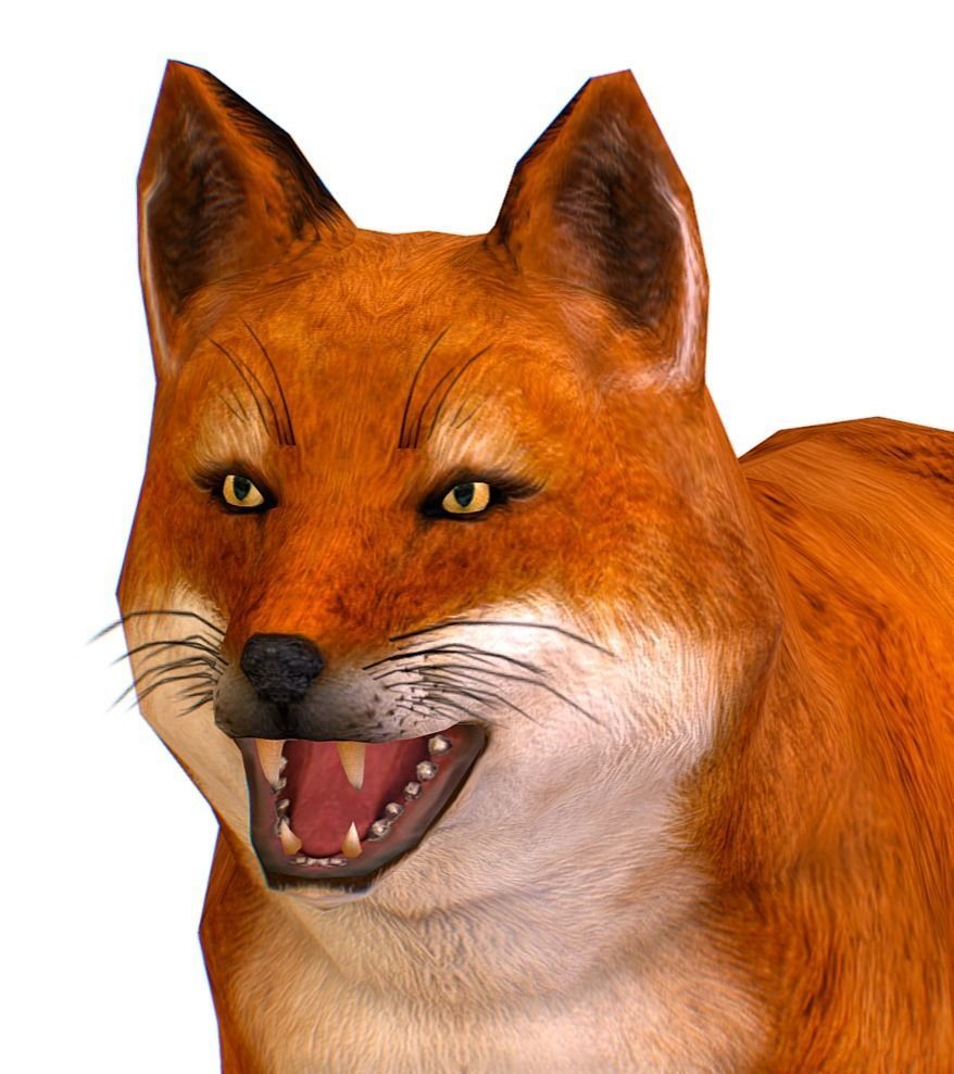 LowPoly Model Beautiful Red Fox Low-poly 3D model_1