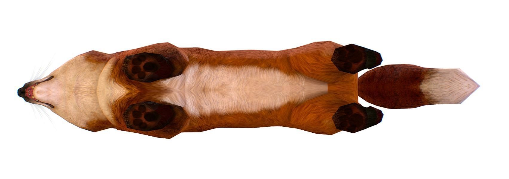 LowPoly Model Beautiful Red Fox Low-poly 3D model_5