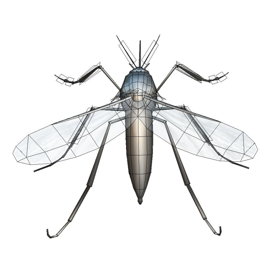 LowPoly Big Realistic Mosquito Low-poly 3D model_7