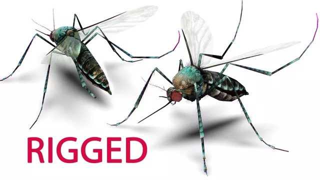 Mosquito - Tropical Insect Beetle - Flying Bug - Vampire Monster Low-poly 3D model
