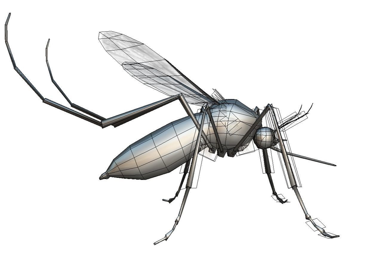 LowPoly Big Realistic Mosquito Low-poly 3D model_4