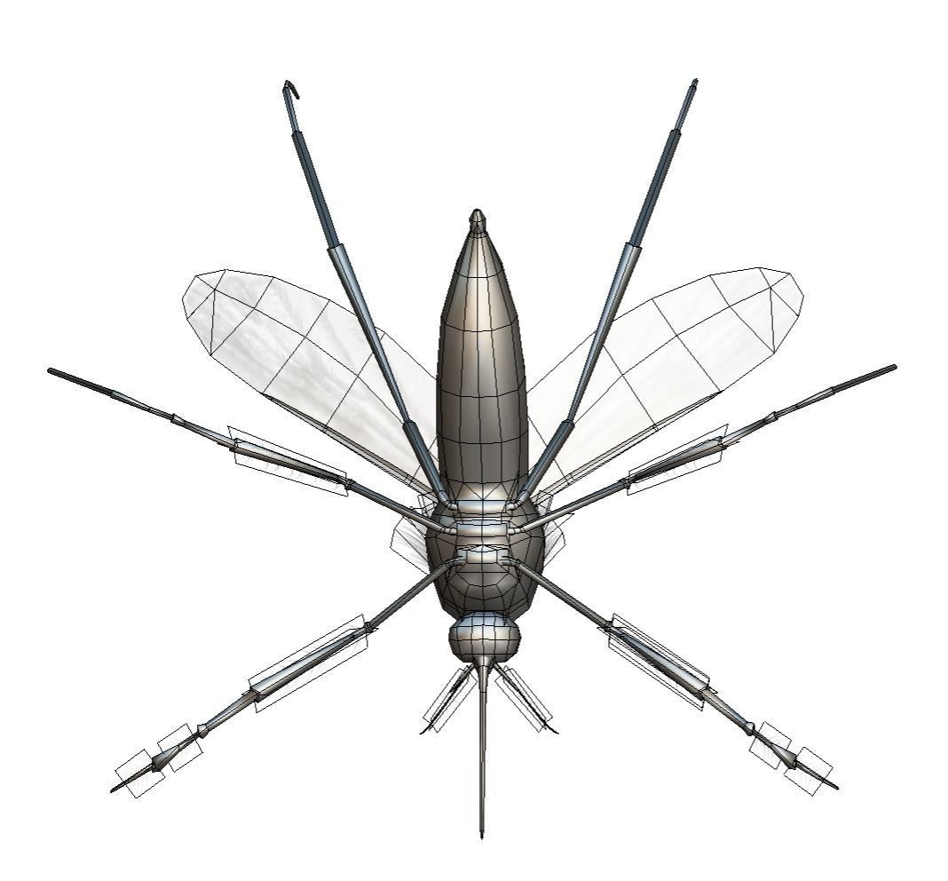LowPoly Big Realistic Mosquito Low-poly 3D model_6
