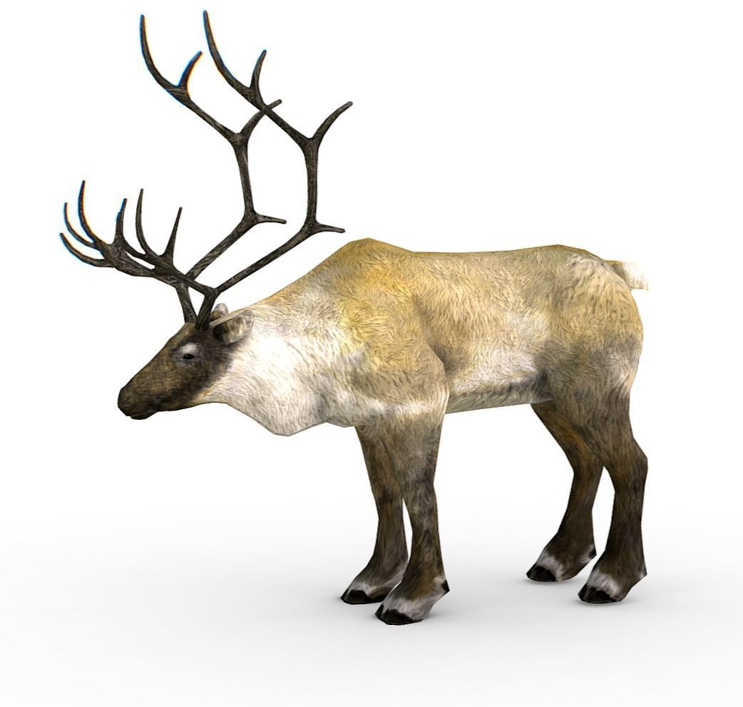 LowPoly Realistic Reindeer Low-poly 3D model_2