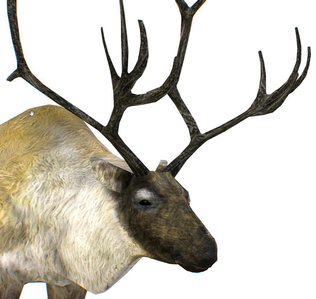 LowPoly Realistic Reindeer Low-poly 3D model_4