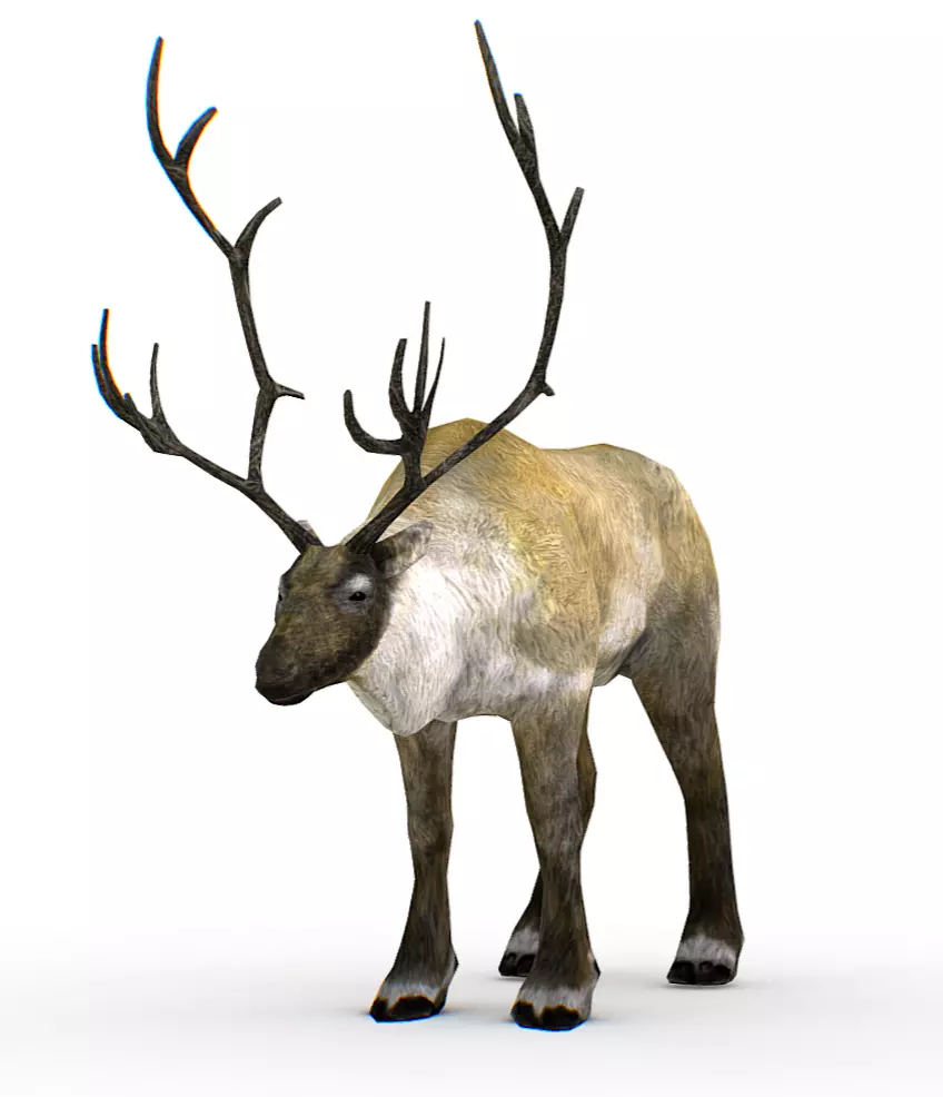 LowPoly Realistic Reindeer Low-poly 3D model_0
