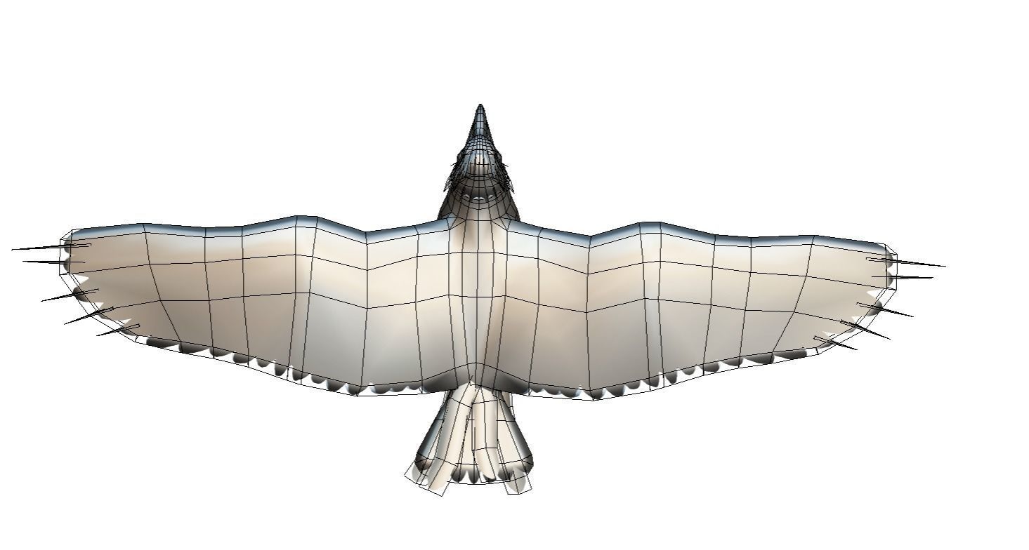 LowPoly the Mythical Bird Predator Roc Low-poly 3D model_7