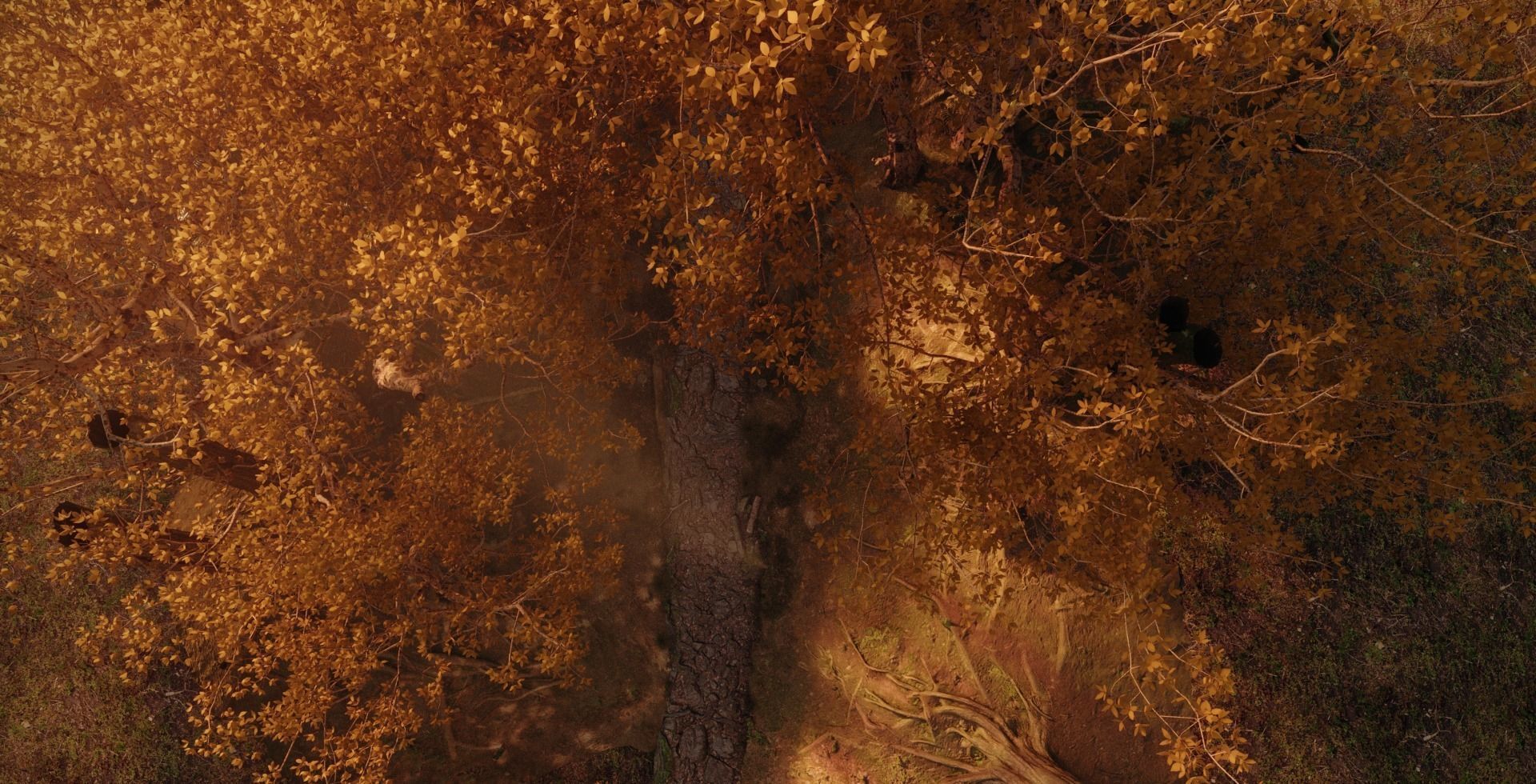 Samurai Path Torii Gate Model Scene 3D model_3