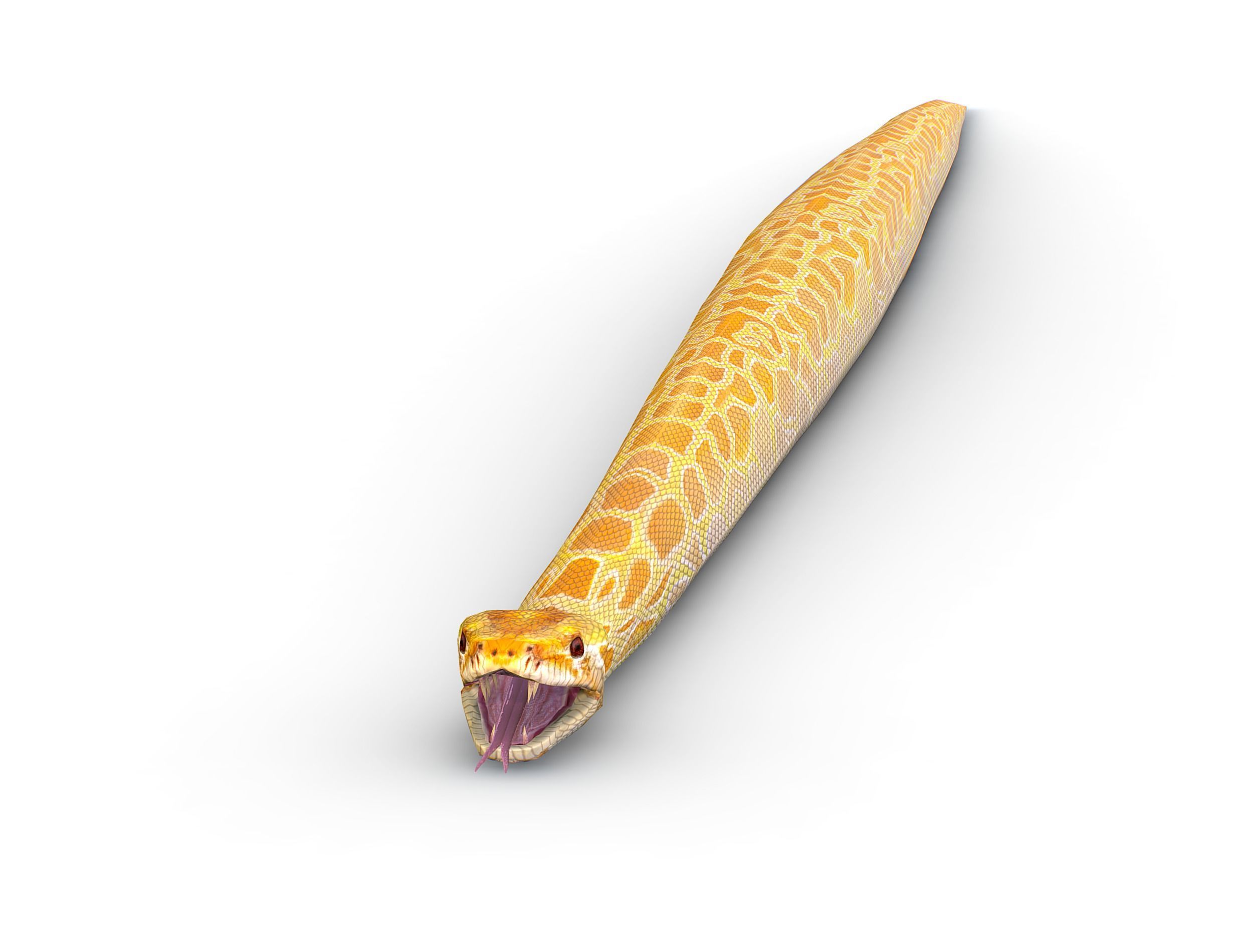 LowPoly Realistic Yellow Python Snake Low-poly 3D model_1