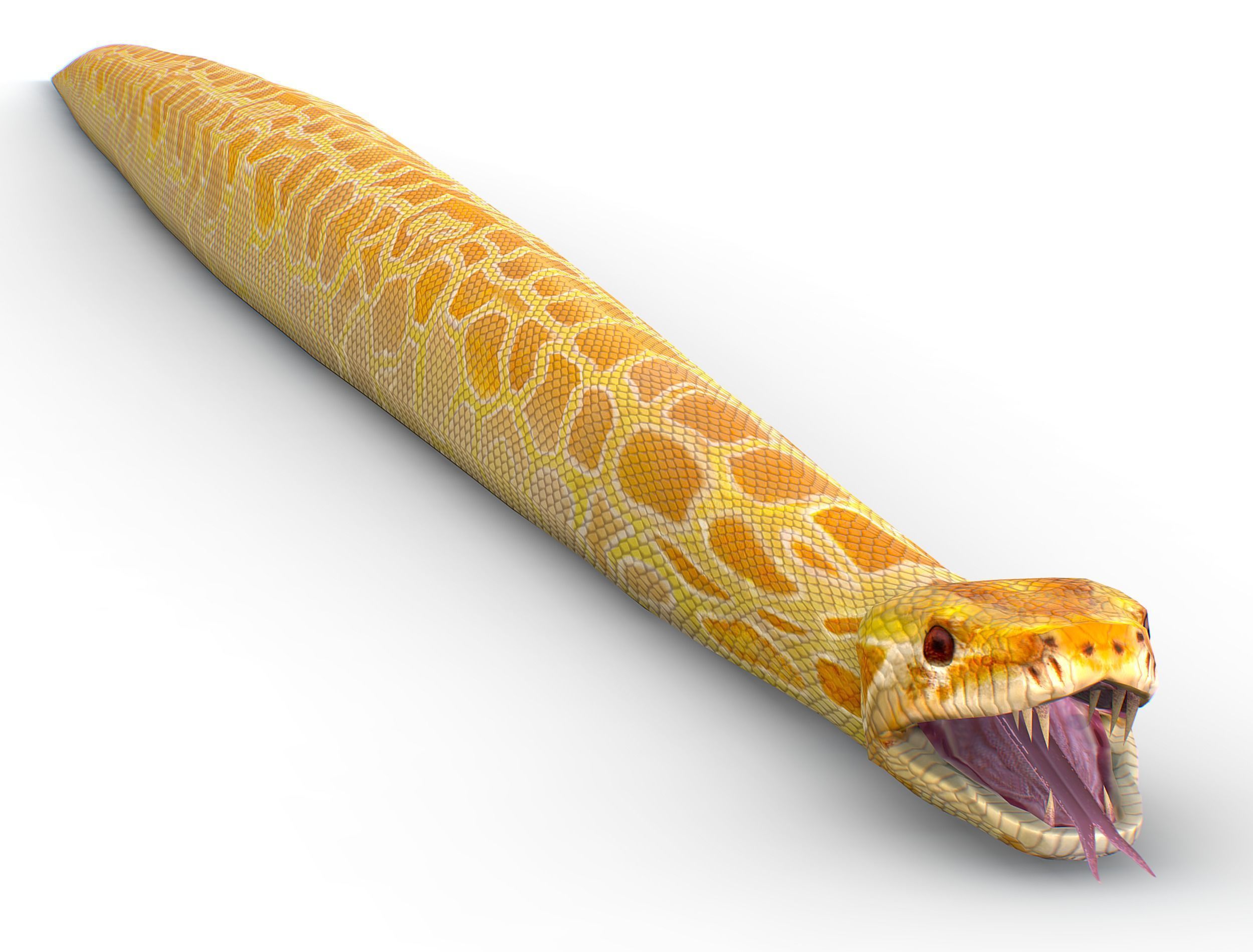 LowPoly Realistic Yellow Python Snake Low-poly 3D model_18