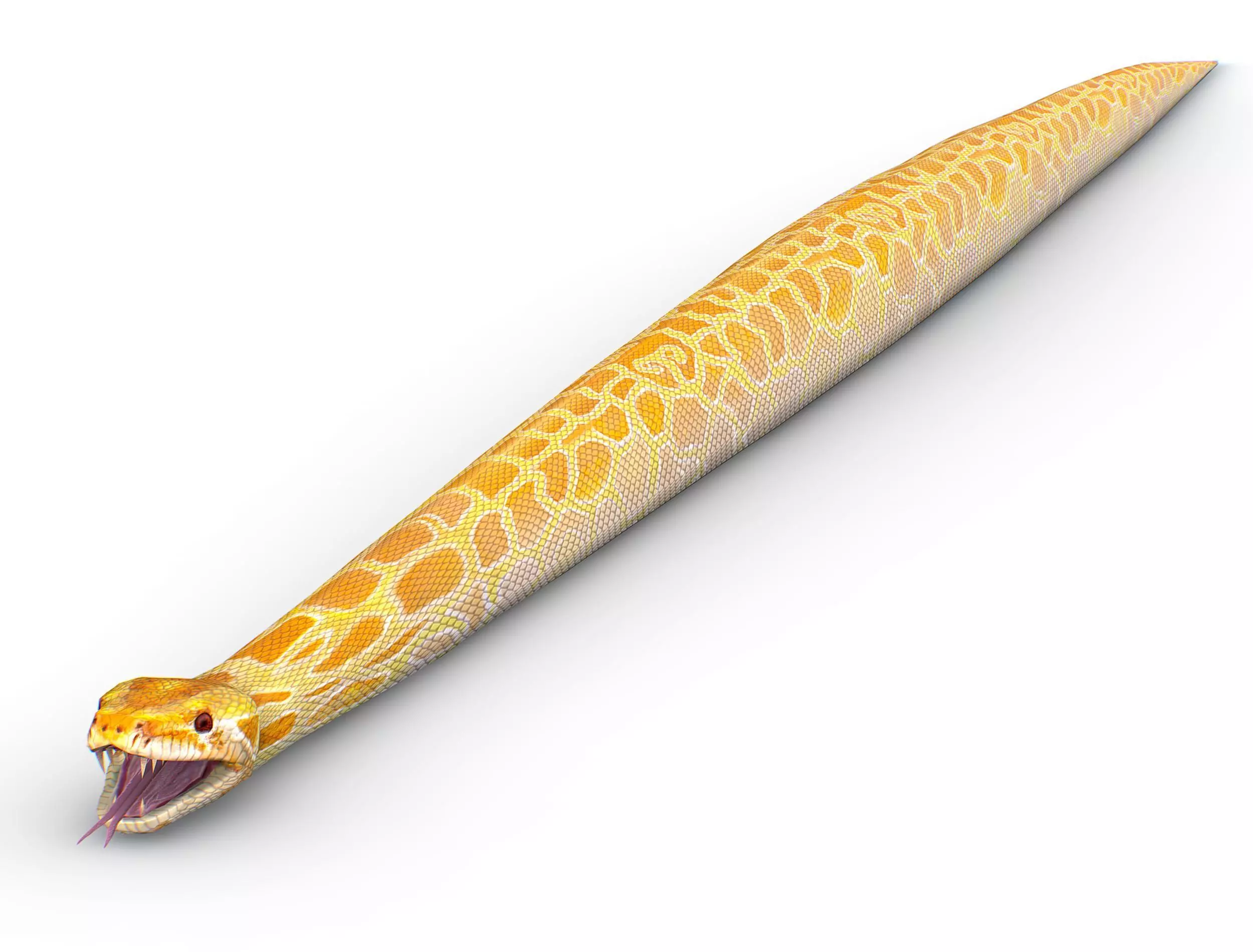 LowPoly Realistic Yellow Python Snake Low-poly 3D model_0