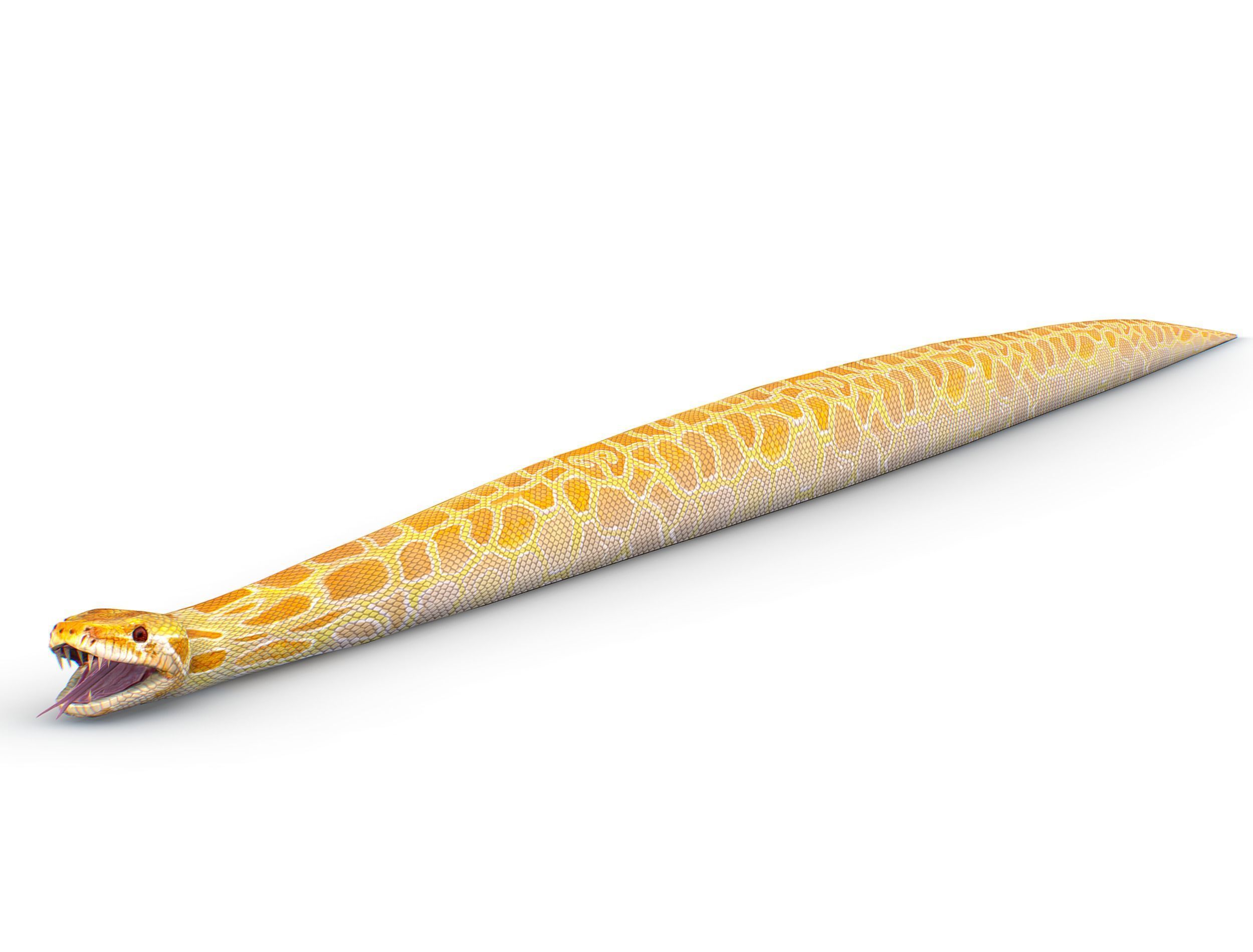 LowPoly Realistic Yellow Python Snake Low-poly 3D model_14