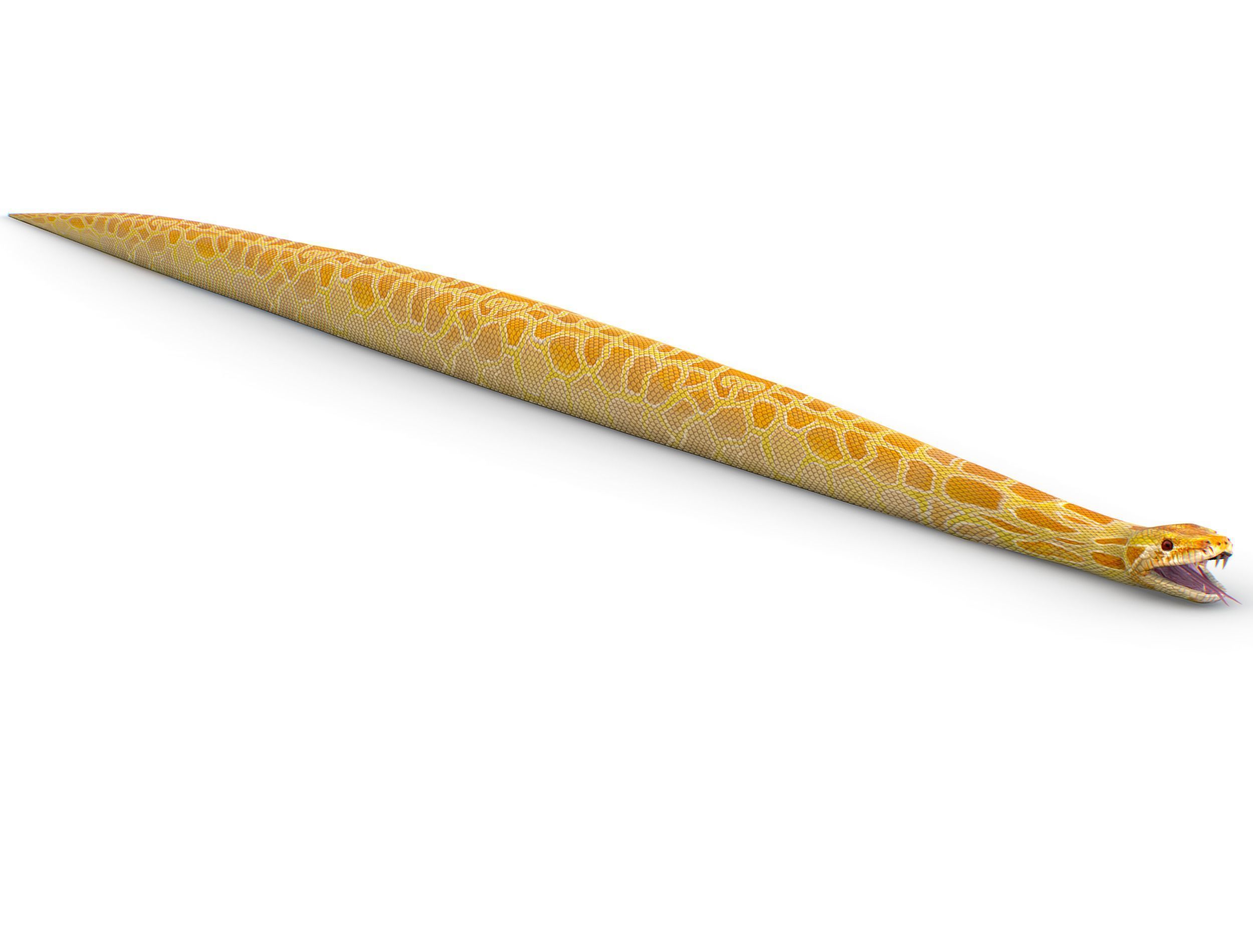 LowPoly Realistic Yellow Python Snake Low-poly 3D model_5