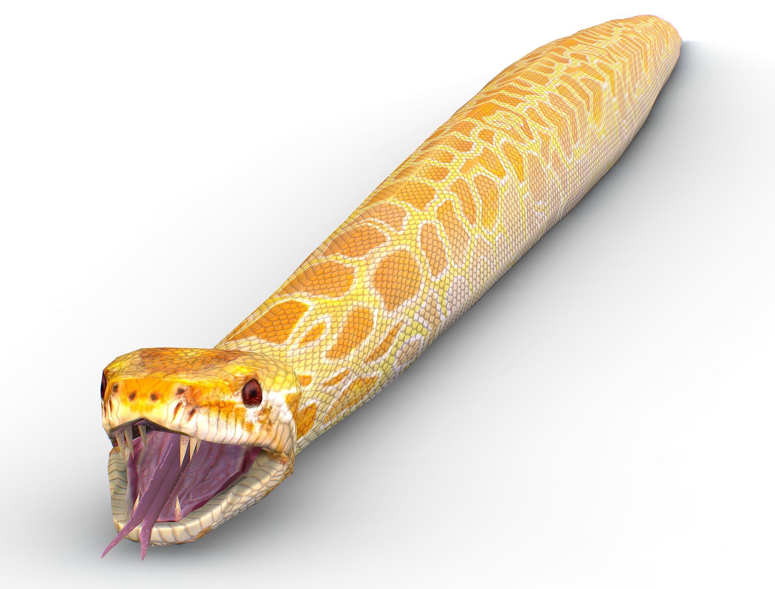 LowPoly Realistic Yellow Python Snake Low-poly 3D model_17