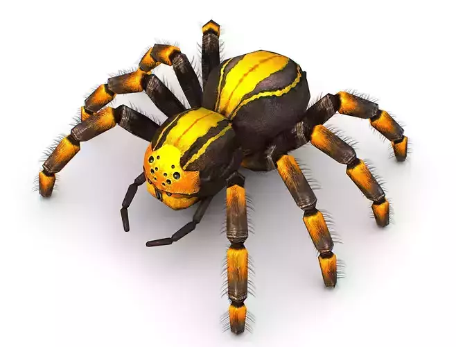 LowPoly Gigant Tarantula Spider Low-poly 3D model